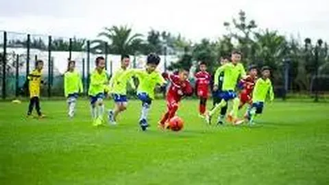 开宝体育 产品 115241 dvb