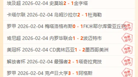 姆伯莫：多位置适应，无最爱站位