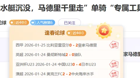 篮球赛事分析：掘金vs猛龙深度解读