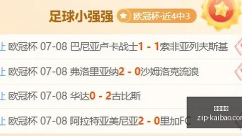 开宝体育 043408 42